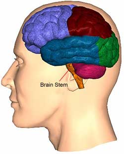The Disease of Body and Mind